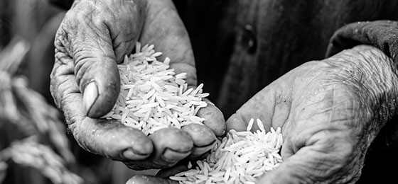 Becoming a Family-Owned Legacy